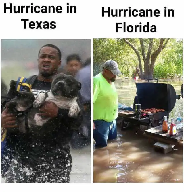 22 Jokes About Florida That Are Actually Funny