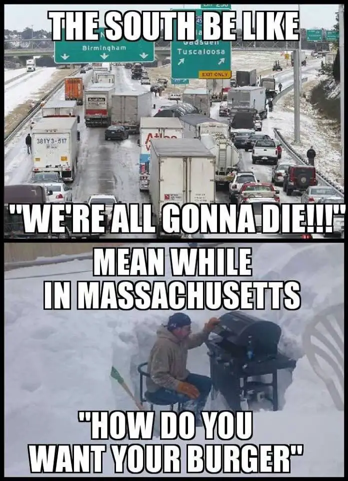 20 Jokes About Massachusetts That Are Actually Funny 6482