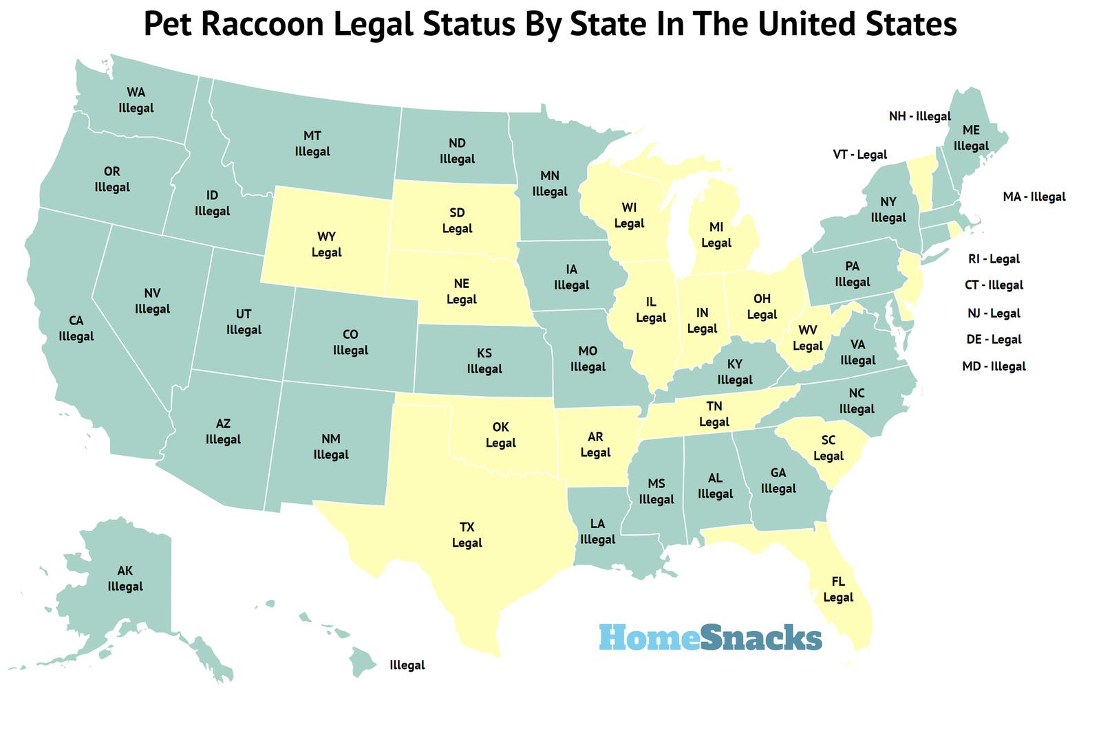 Pet Raccoon Legal Status By State For 2023 | HomeSnacks