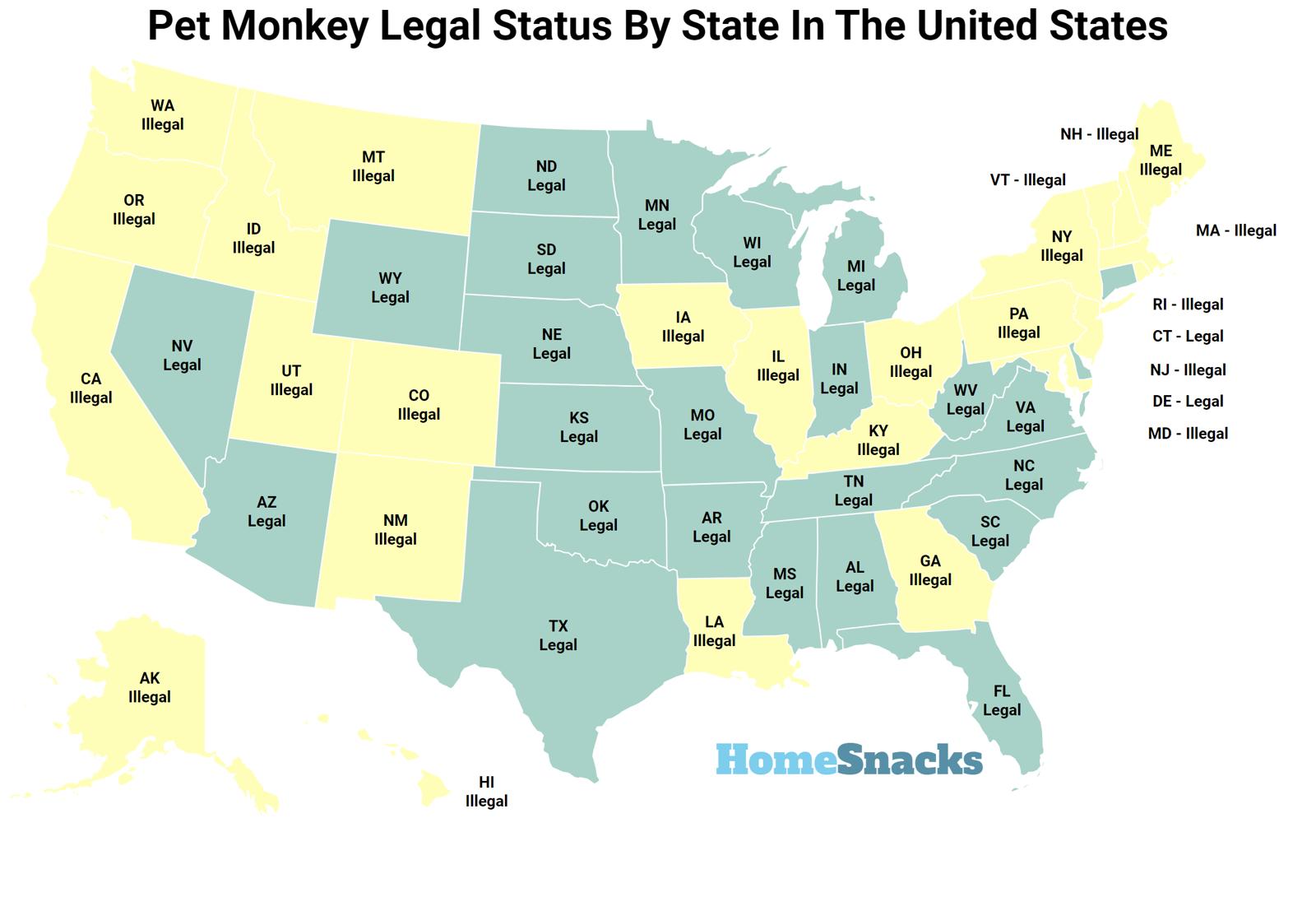 pet-monkey-legal-status-by-state-with-map-homesnacks